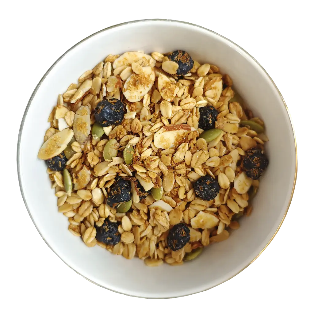Blueberry Blaze Granola Bowl High Resolution.webp