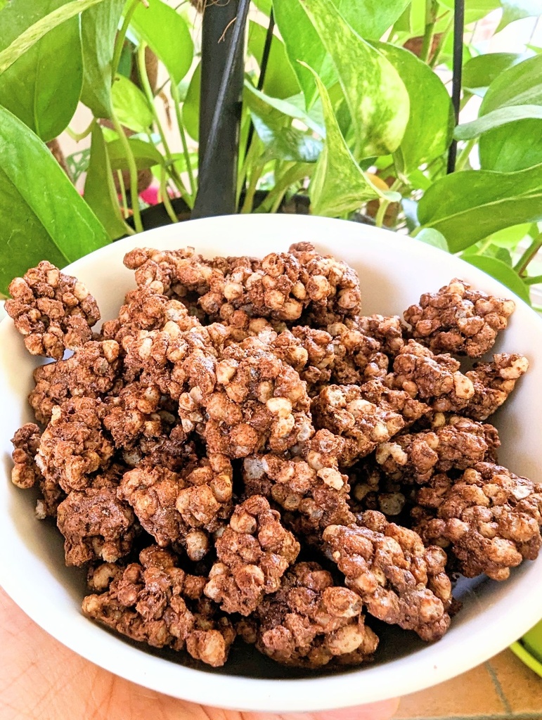 Pearl millet clusters (chocolate)2.jpg